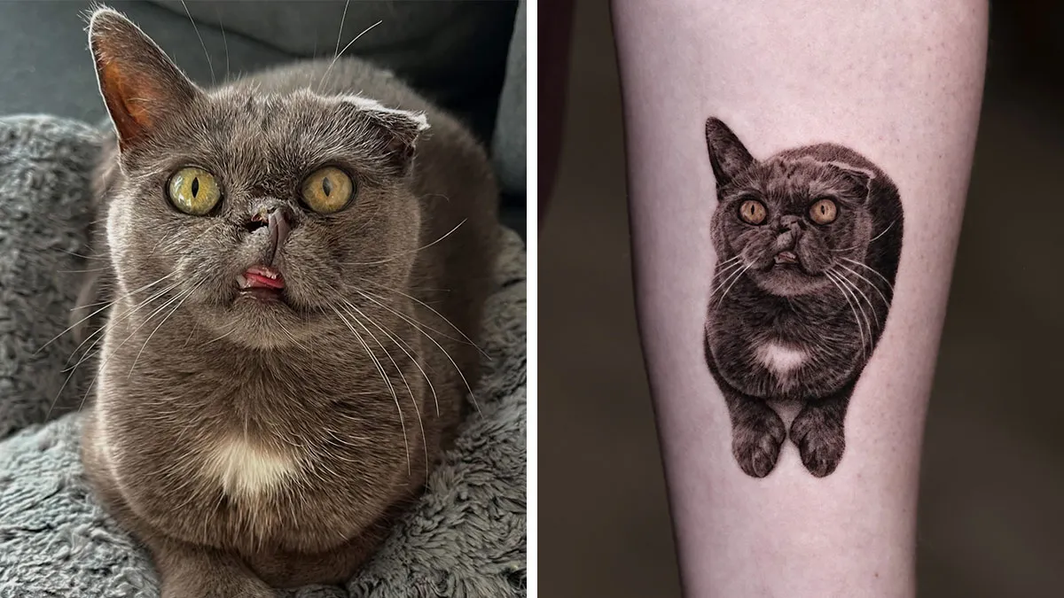 This Master Of Realism Tattoos Is Bringing People's Pets To Life On Their Skin (30 New Pics)