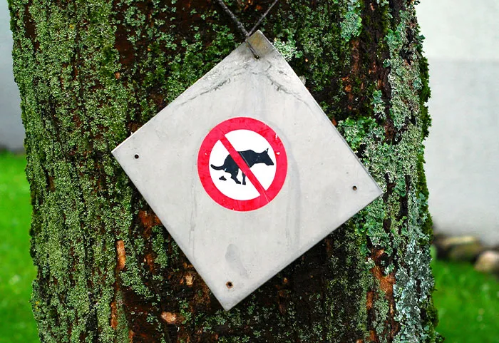 “Thought She Owned The Street”: 47 Times Neighbors Took Pettiness Too Far