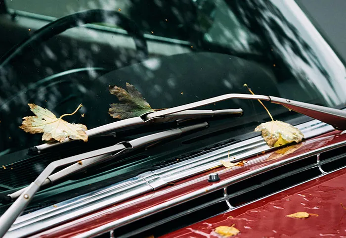 “Thought She Owned The Street”: 47 Times Neighbors Took Pettiness Too Far