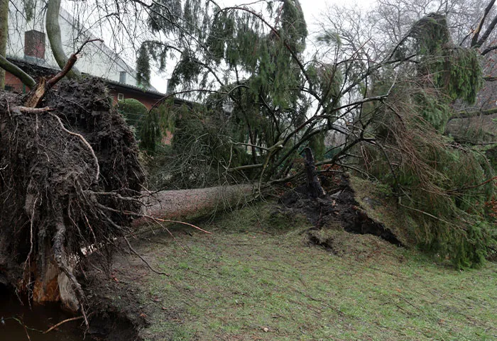 “Thought She Owned The Street”: 47 Times Neighbors Took Pettiness Too Far
