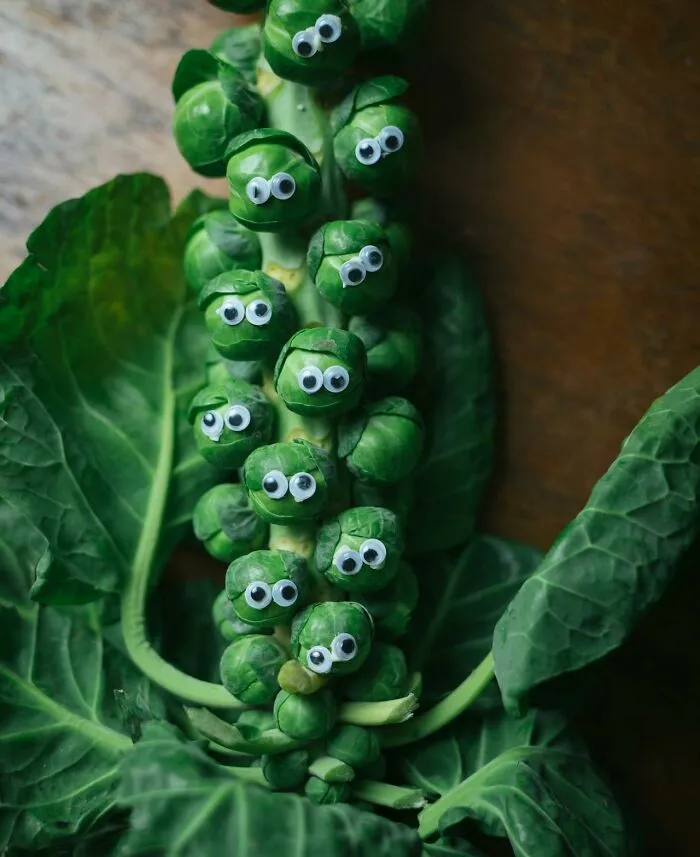Ramas de coles de Bruselas con ojos divertidos, representando padres cotillas y descubrimientos inesperados de adolescentes.