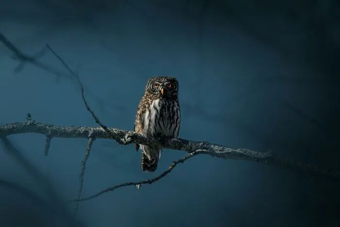 28 Of The Creepiest Yet True Stories About The Most Daunting Sounds Ever Heard By Folks At Night