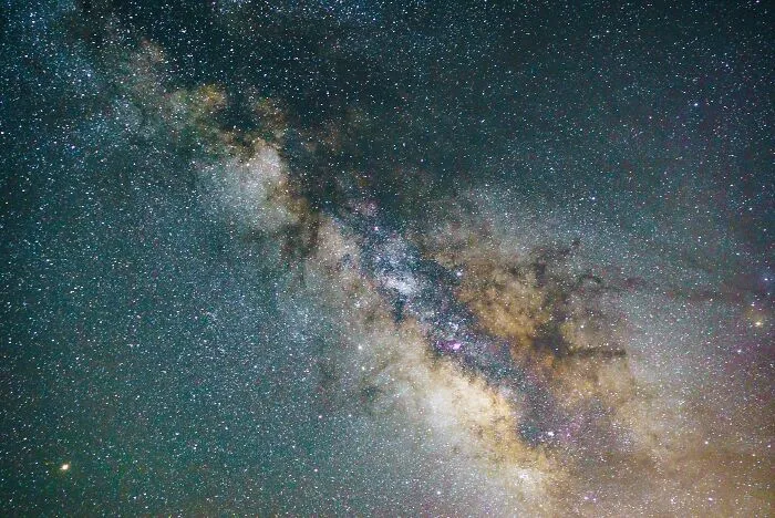 Ignorance Is Bliss: 50 People Share The Most Bizarre Facts They Now Regret Learning