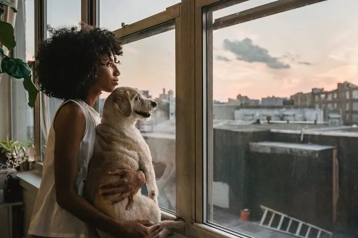 38 Dog Owners Share The Real Cons Of Having Them As Pets In This Online Thread