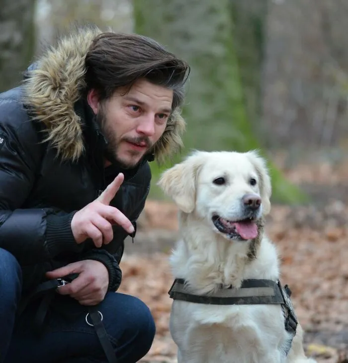38 Dog Owners Share The Real Cons Of Having Them As Pets In This Online Thread