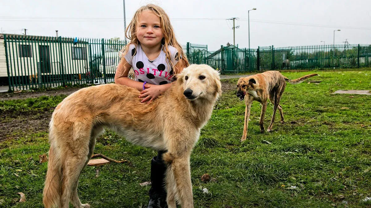 Where Childhood Runs Free: 29 Irish Traveler Kids And Their Animals