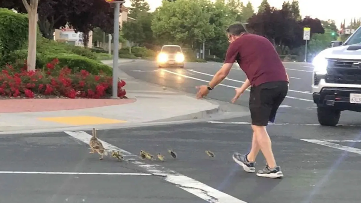 35 Pictures Taken Just Seconds Before Everything Went Wrong