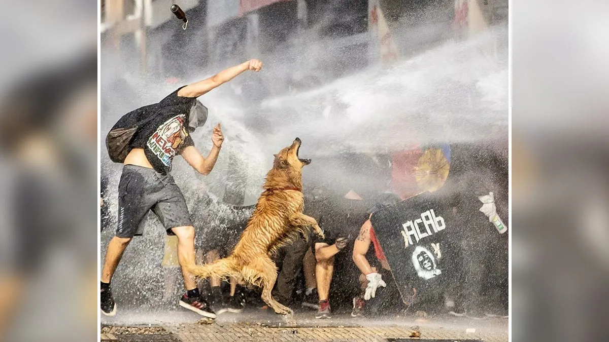 35 Times Ordinary People Decided They Need To Be The Change The World Needed (New Pics)