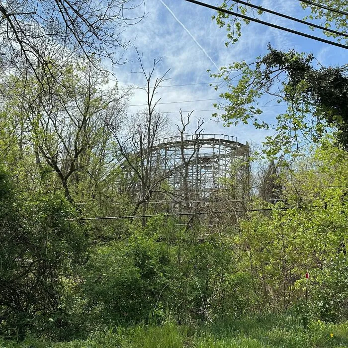 Overgrown vegetation surrounding an abandoned roller coaster structure under a partly cloudy sky.