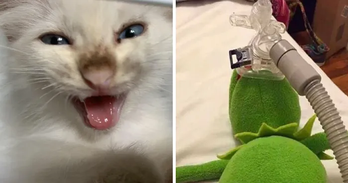 Readers’ Vote: 69 Dirty Jokes That Range From Cheeky To Outright Naughty