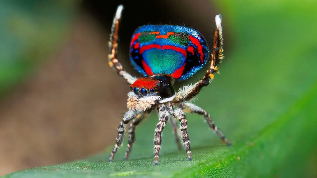 Reader’s Vote: Which Of These Cool-Looking Animals Is The Most Mind-Blowing?