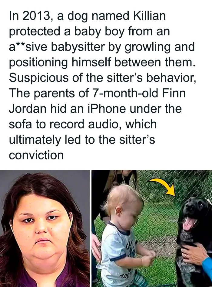 50 Creepy Facts That Are More Disturbing Than Most Horror Movies
