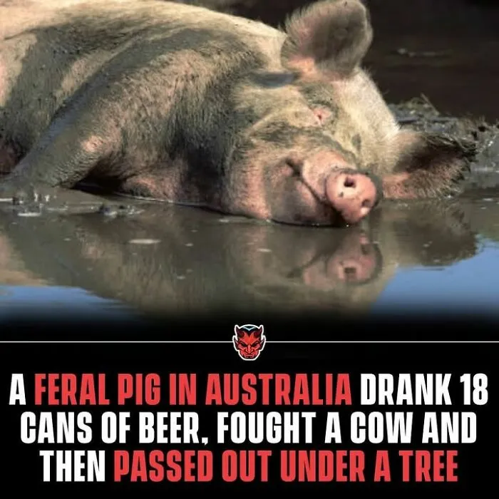 50 Creepy Facts That Are More Disturbing Than Most Horror Movies