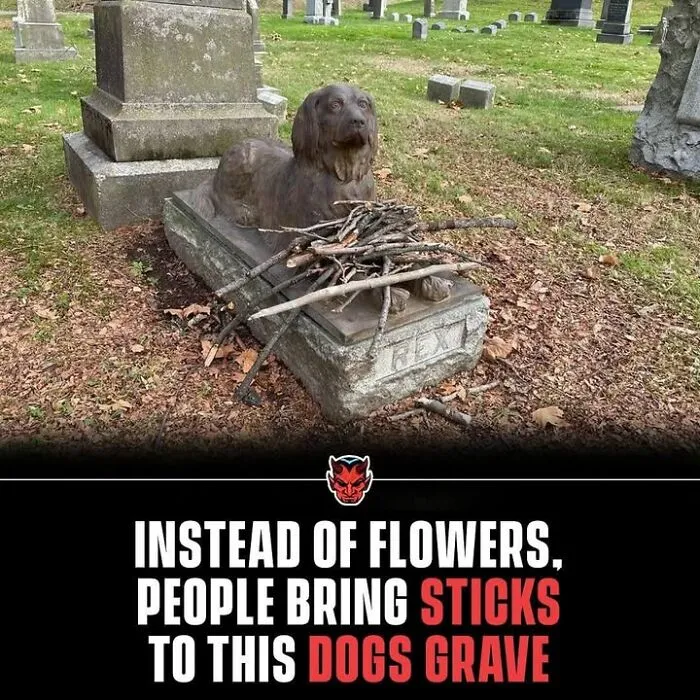 50 Creepy Facts That Are More Disturbing Than Most Horror Movies