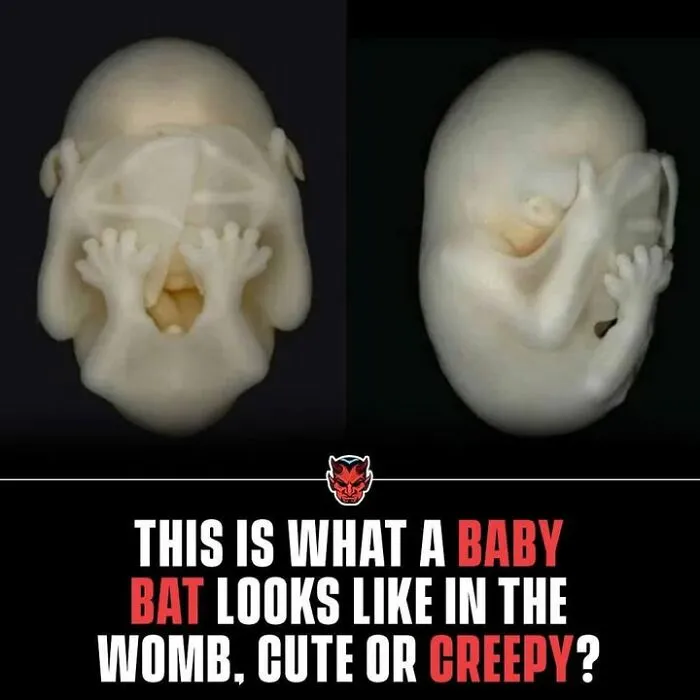50 Creepy Facts That Are More Disturbing Than Most Horror Movies