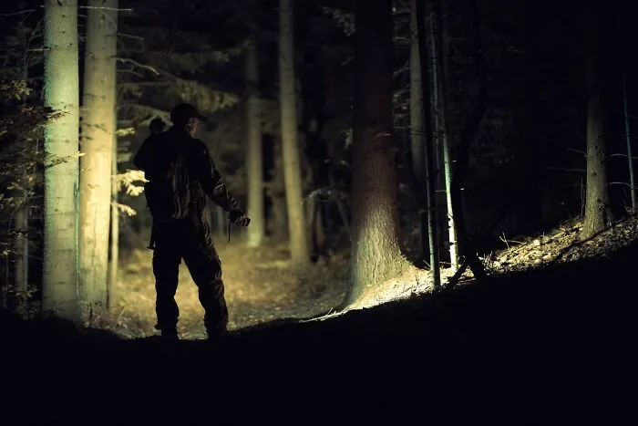 “Still Scares Me”: 47 People Who Couldn’t Sleep For Days After Spending Time In The Woods