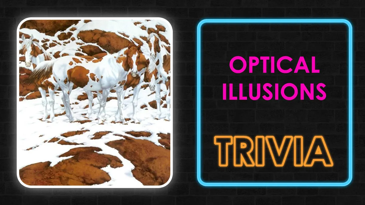 Everyone Sees The Man, Only Geniuses See The Rest: Solve 19 Viral Optical Illusions