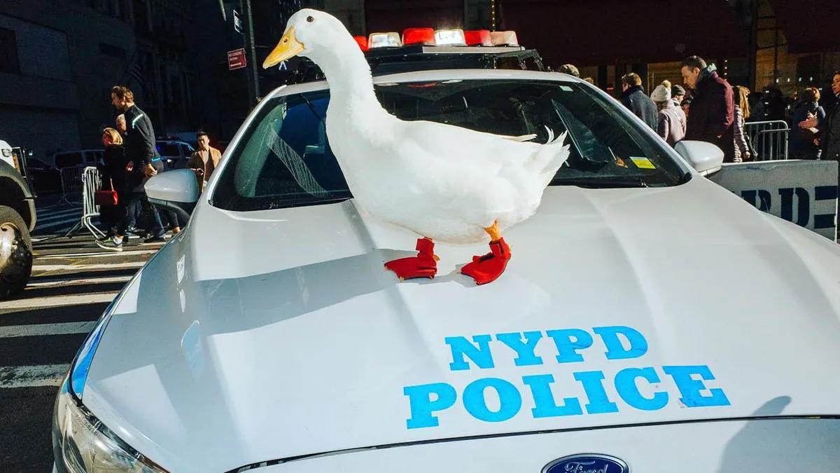 50 Hilarious And Heartwarming Animal Moments Spotted On The Streets