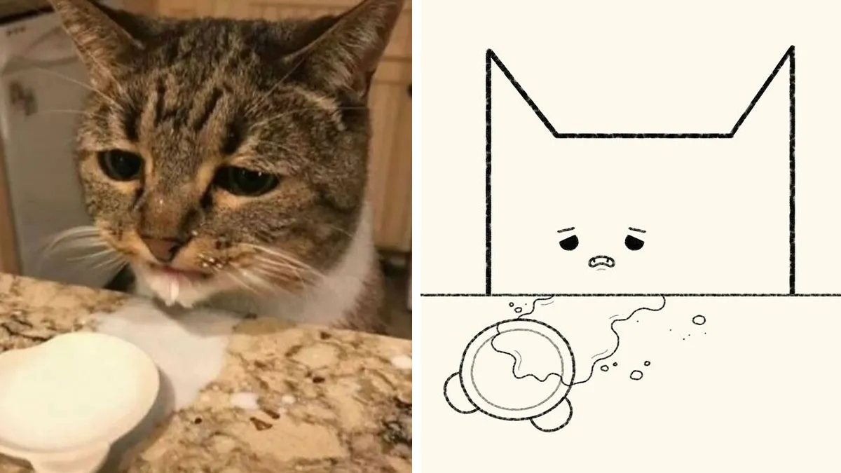 50 Times ‘Stupid Cat Drawings’ Made Everyone Laugh With How Accurate They Were