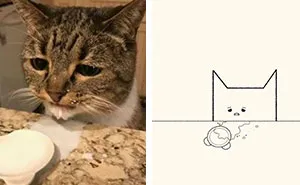 50 Times ‘Stupid Cat Drawings’ Made Everyone Laugh With How Accurate They Were