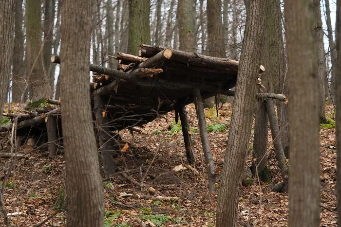“Still Scares Me”: 47 People Who Couldn’t Sleep For Days After Spending Time In The Woods