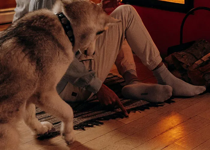 47 Unexpected Treasures People Discovered After Moving Into A New Home