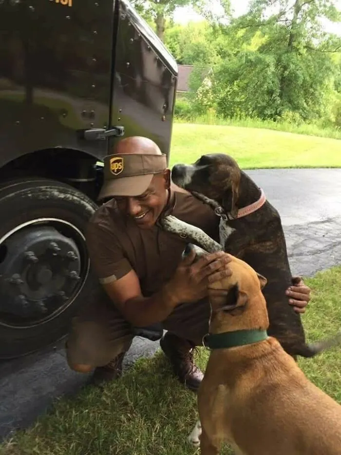 50 Of The Cutest Dogs And Other Pets UPS Drivers Met While On The Job (New Pics)