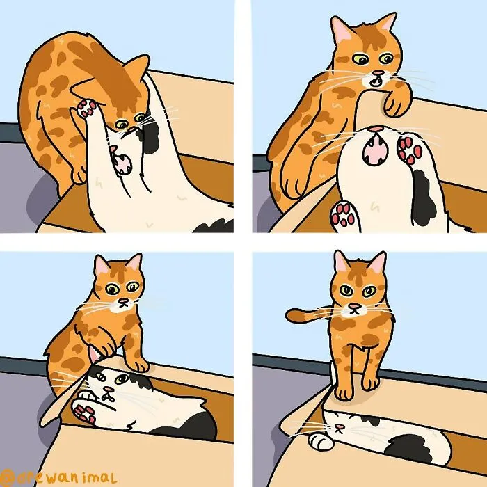 50 Hilarious Cat Illustrations And Comics That Perfectly Capture Their Goofy Personalities