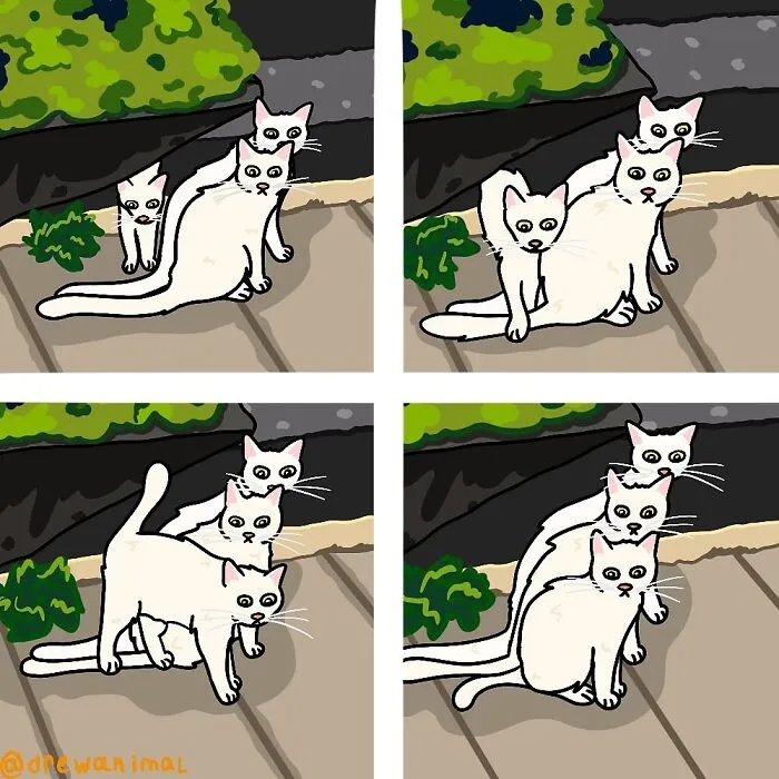 50 Hilarious Cat Illustrations And Comics That Perfectly Capture Their Goofy Personalities