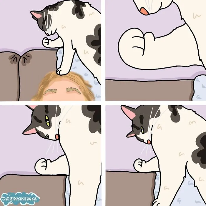 50 Hilarious Cat Illustrations And Comics That Perfectly Capture Their Goofy Personalities