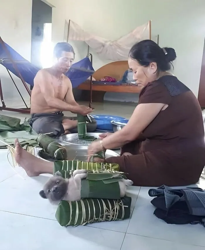Cute dog wrapped in green leaves with two people crafting dog-themed items on a floor indoors.