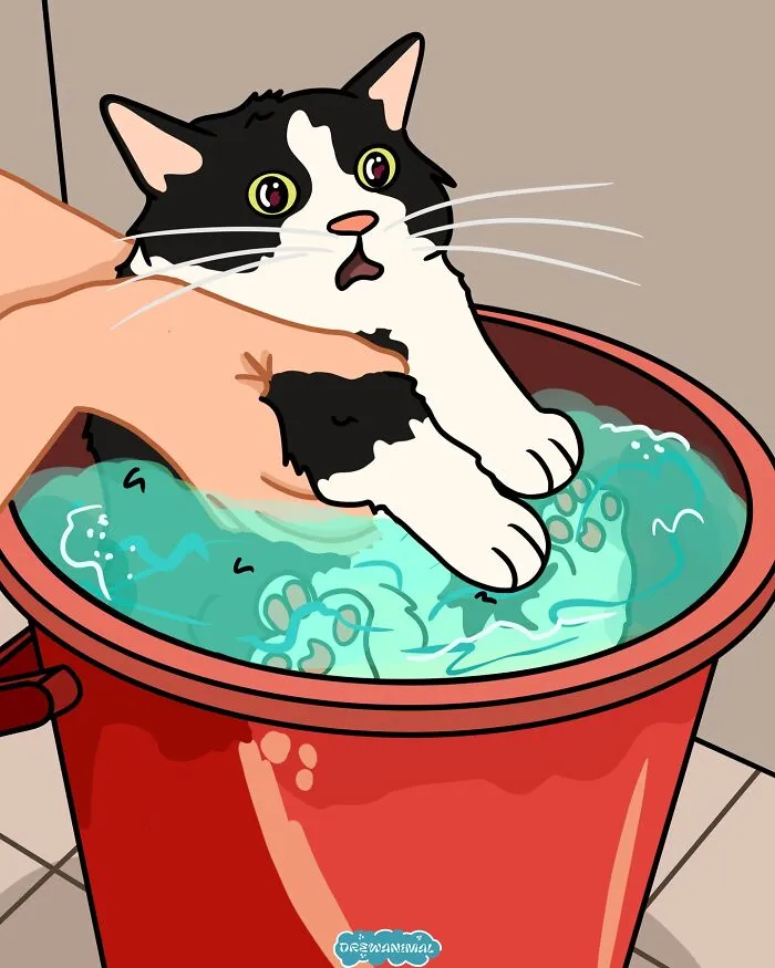 50 Hilarious Cat Illustrations And Comics That Perfectly Capture Their Goofy Personalities