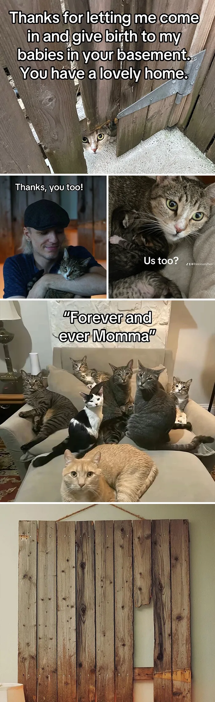 This New Trend Has People Sharing Their Tearjerking Pet Adoption Stories And These 50 Made Us Cry