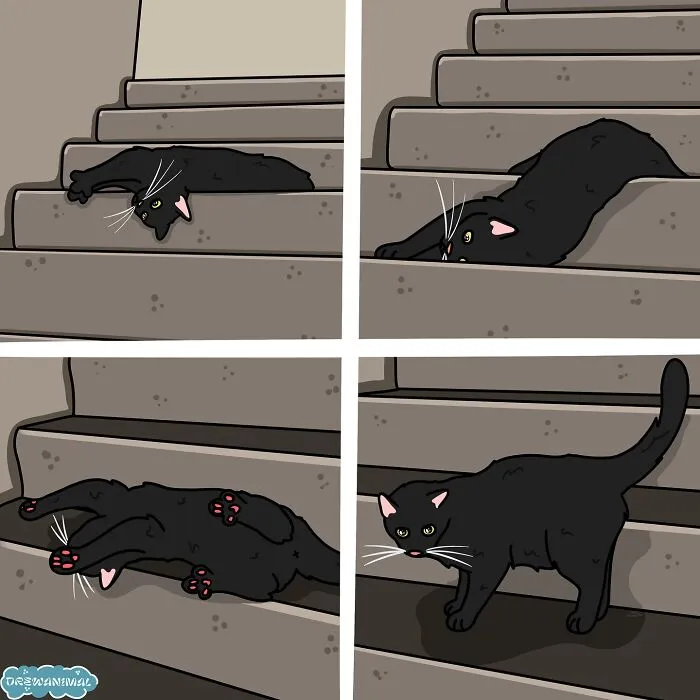 50 Hilarious Cat Illustrations And Comics That Perfectly Capture Their Goofy Personalities