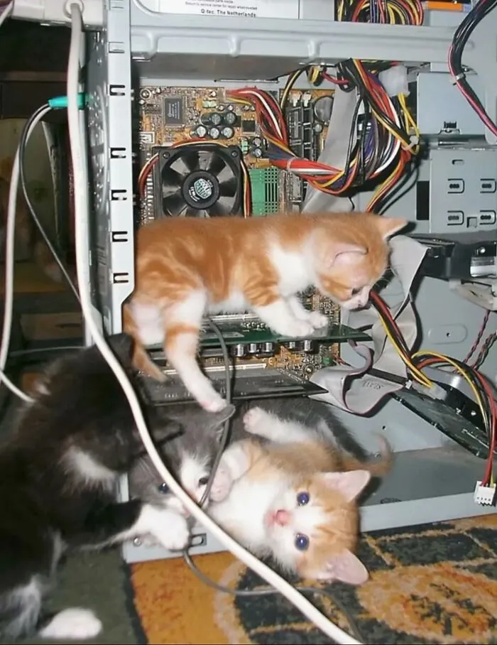Three playful kittens exploring inside an open computer case, showcasing funny and adorable cat moments.