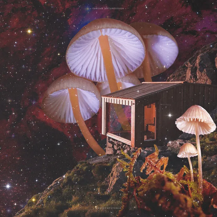 I Made 23 Digital Collages That Bend Space And Reality
