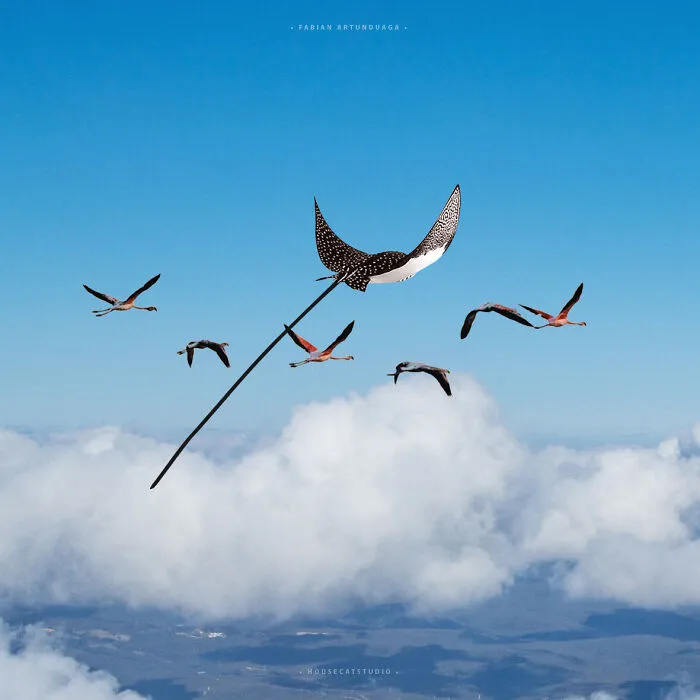 I Combine People And Nature To Tell Stories Of Harmony And Contrast (28 Pics)