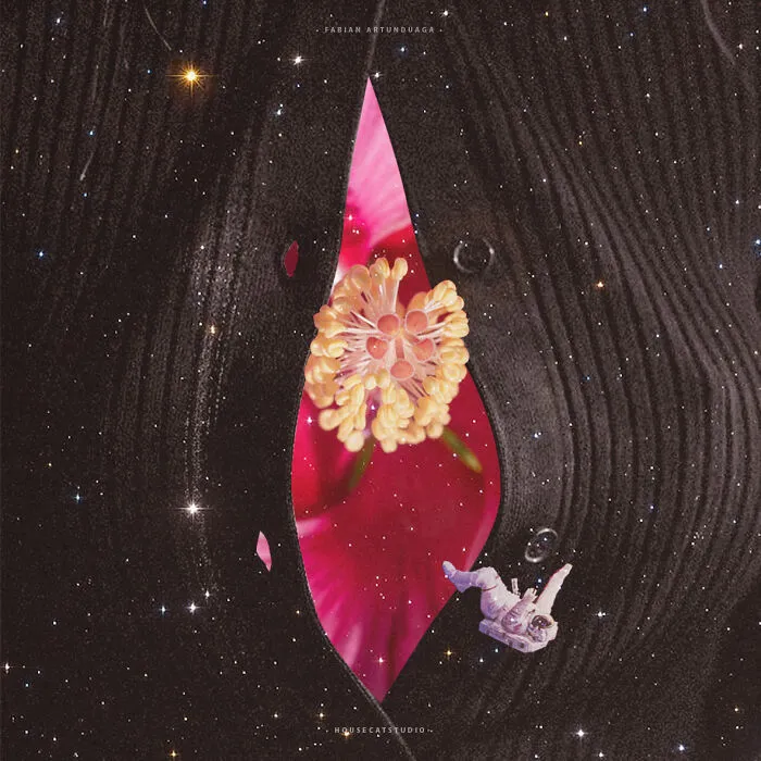 40 Nature Inspired Collages Tha Will Make Your Brain Hurt
