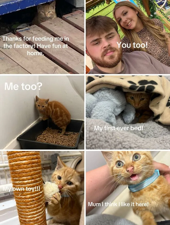 This New Trend Has People Sharing Their Tearjerking Pet Adoption Stories And These 50 Made Us Cry