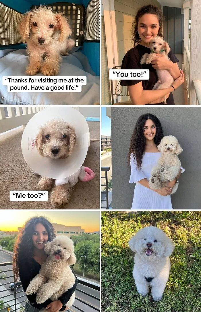 This New Trend Has People Sharing Their Tearjerking Pet Adoption Stories And These 50 Made Us Cry