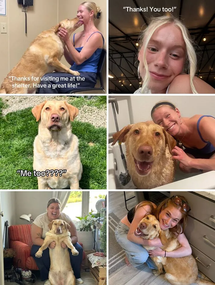 Happy adopted dog bonding with new owners in heartwarming adoption pics showing love and connection after adoption.