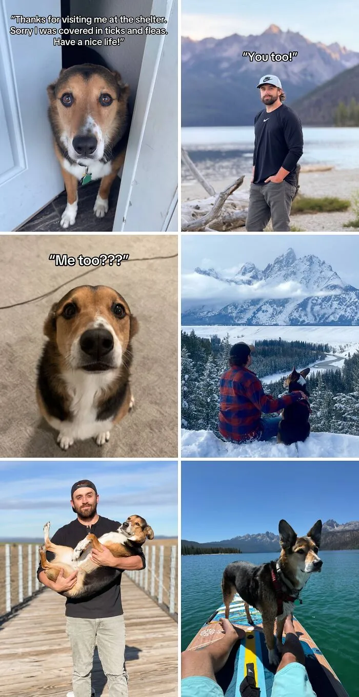 Compilation of best adoption pics featuring dogs and their new owners enjoying outdoor adventures together.