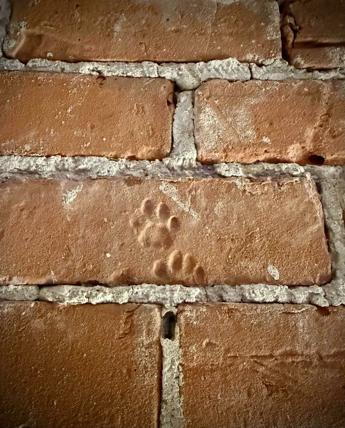 Me mudé a un loft de 160 años y encontré huellas de patas de gatito en la mampostería.