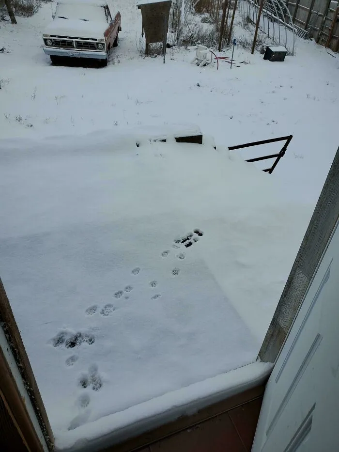 Didn't Last Long In The Snow