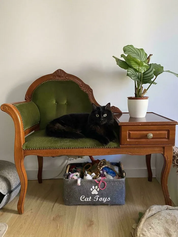 ¡Me compré este precioso asiento con mesa para el teléfono este fin de semana!