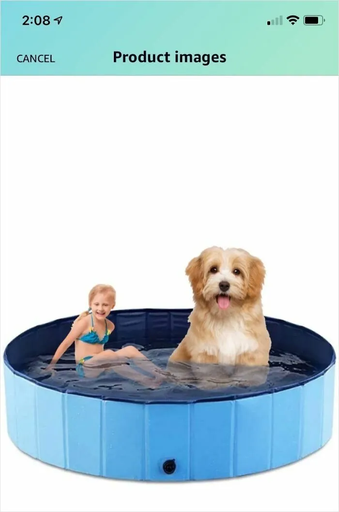 Piscina para perros