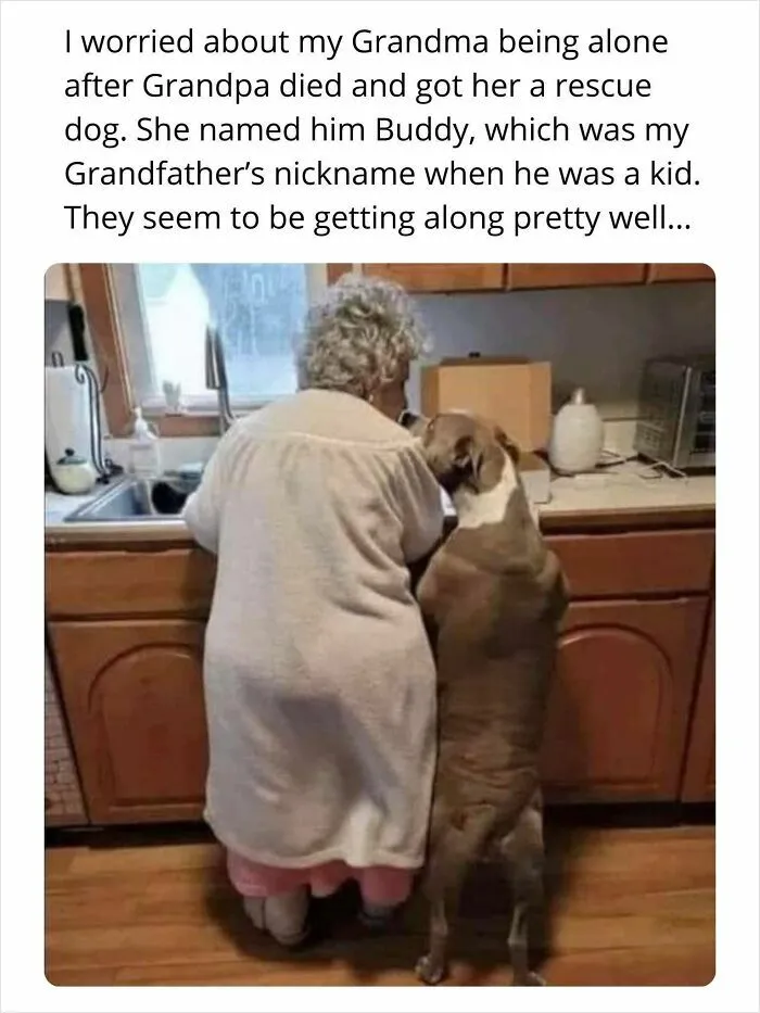 I Knew She Needed Someone To Fill That Void. That’s When I Found Buddy