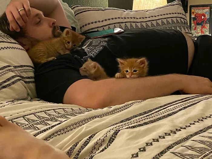 He Said He Didn’t Want Me To Foster Because He Didn’t Want Me To Get Attached. Guess Who Is Ooey Gooey Over Them And Wants To Keep All 3 Now?