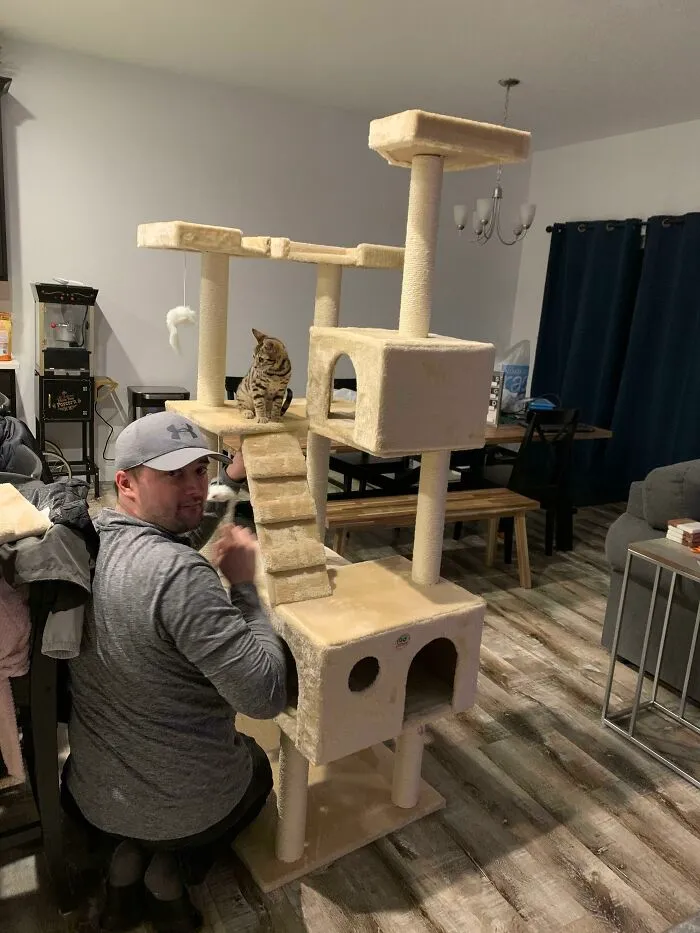 “We Are Never Getting A Cat.” -My Husband