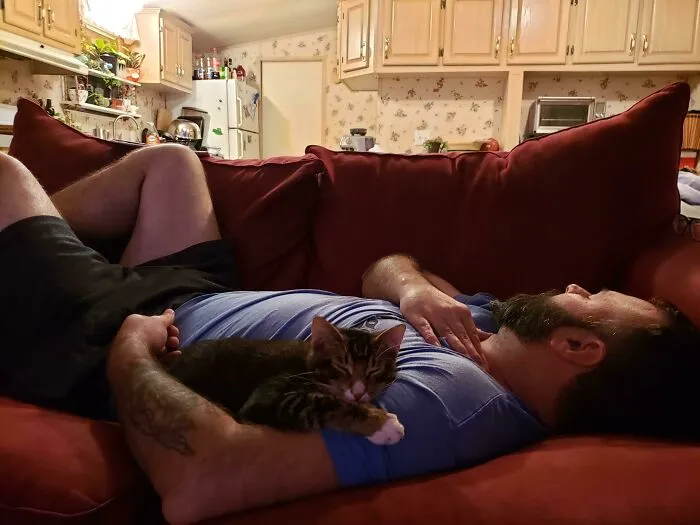 My Husband "Doesn't Like Cats" And Refused To Let Me Get A Kitty For The Longest Time